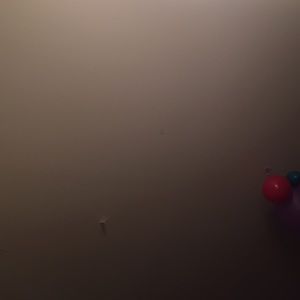 Meet your Posher, Shellane